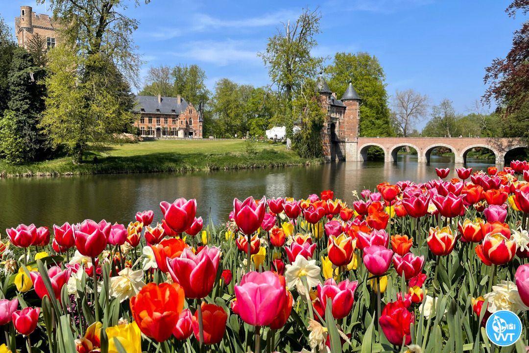 Photo of the flower exhibition 'Floralia Brussels' in Groot-Bijgaarden