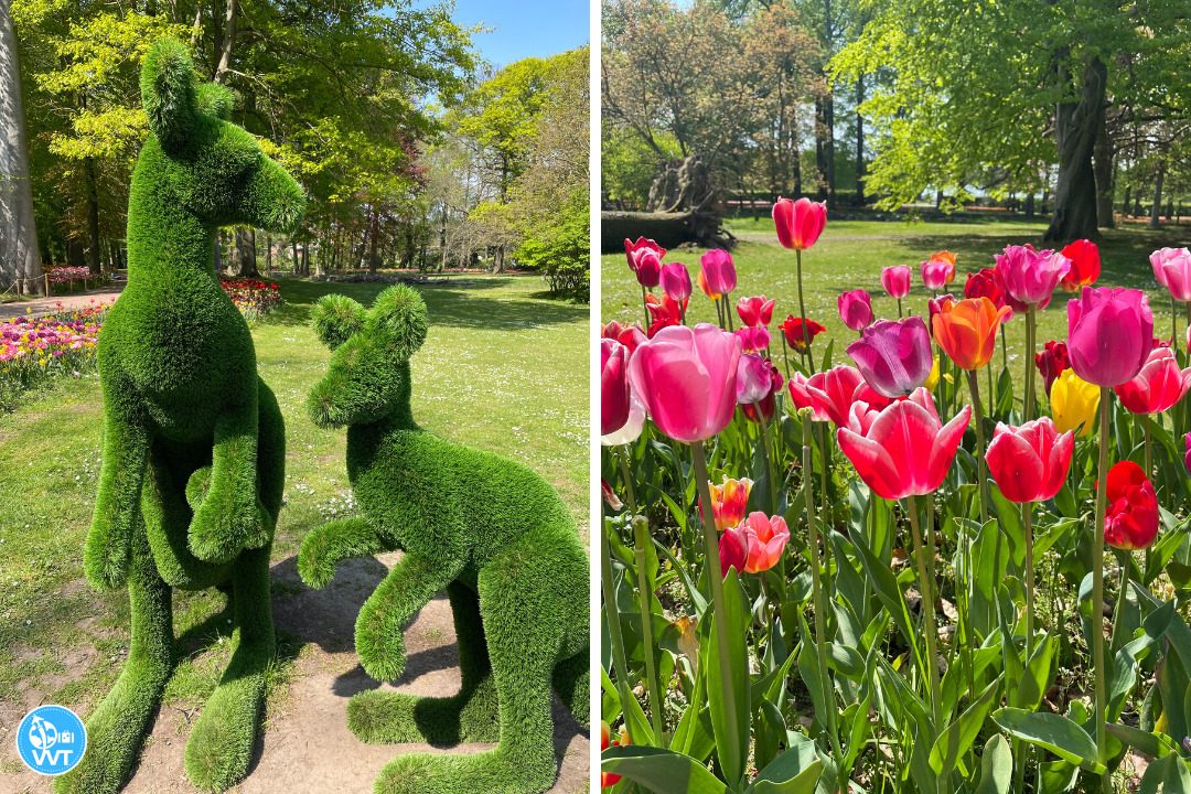 At 'Floralia Brussels' you will find a wide variety of flowers and colours!