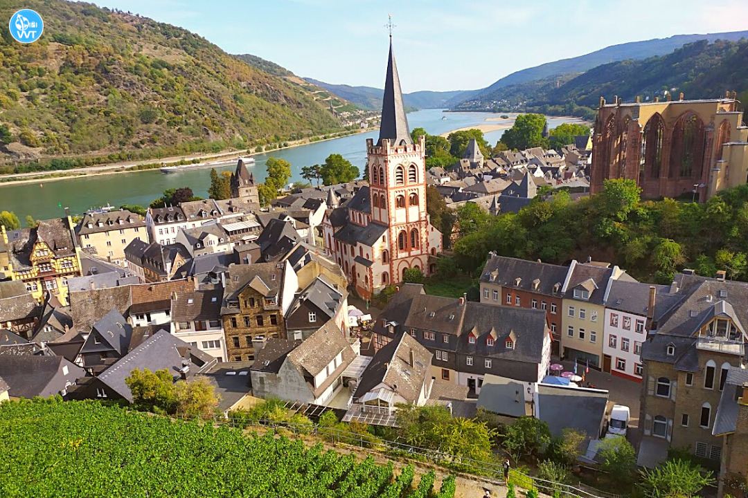 Uitzicht op de Rijn vanaf de Bacharach wijngaarden, Duitsland