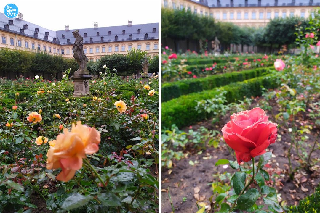 Foto des Rosengartens in Bamberg, Deutschland